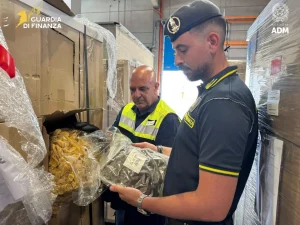 Maxi sequestro a Genova: oltre 700 kg di marijuana bloccati nel porto di Prà.