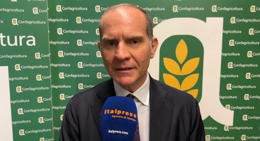 Xylella: Giansanti chiede risposte concrete per la salvaguardia degli uliveti italiani.