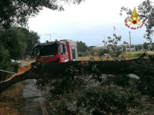 Maltempo: oltre 500 interventi dei Vigili del Fuoco, la situazione migliora progressivamente.