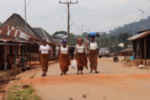 Collettivi femminili difendono il santuario per gorilla in Nigeria, proteggendo la fauna locale.