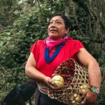 Donne difensori dell’Amazzonia colombiana: custodi della natura e della cultura indigeni.