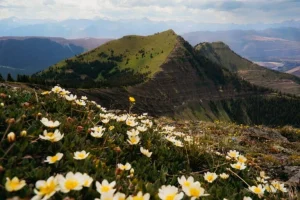 Espansione mineraria in Canada e USA solleva preoccupazioni per l’inquinamento ambientale.