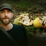 Perché le foreste stanno scomparendo nel sud-est della Liberia? Scopri le cause principali.