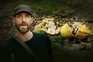 Perché le foreste stanno scomparendo nel sud-est della Liberia? Scopri le cause principali.