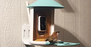 Offerta imperdibile: il mangiatoia smart solare di Birdfy è al miglior prezzo!