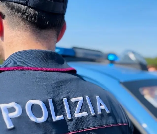 Arrestato a Nova Milanese un 40enne per possesso di armi e droga: precedenti criminali.