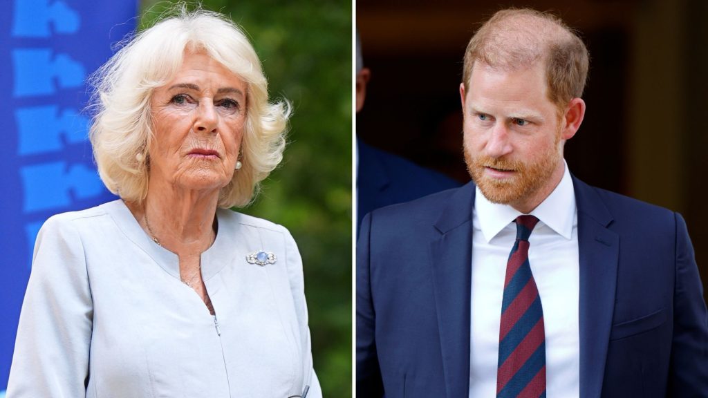 Harry: i sentimenti complessi verso la matrigna Camilla ostacolano la riconciliazione con Carlo.
