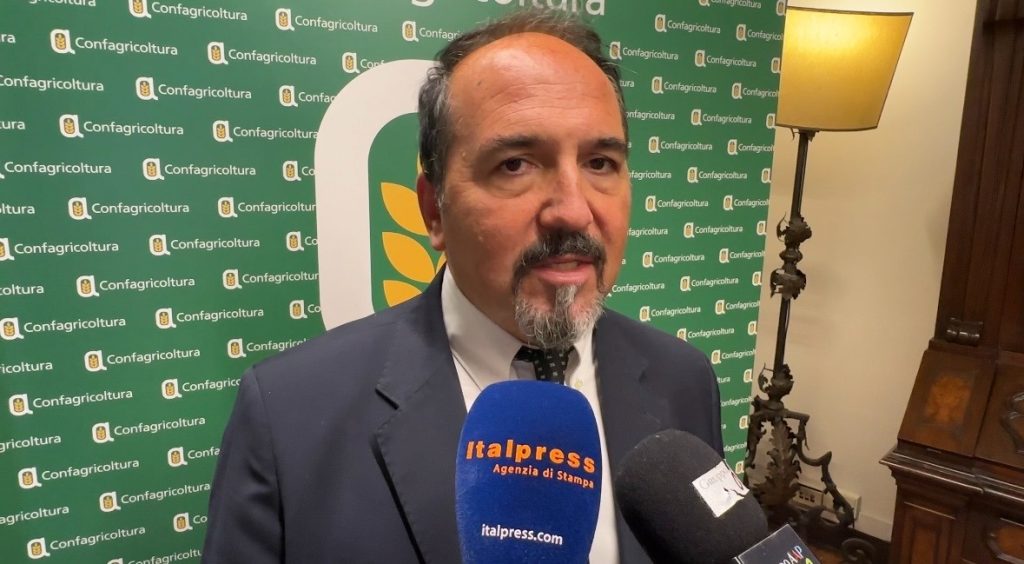 Xylella: Rocchi e la necessità di un nuovo paradigma nella gestione