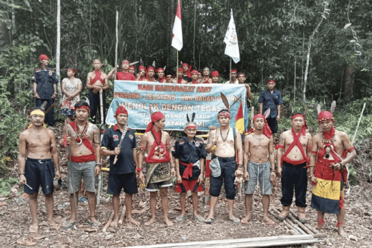 Legislatori richiedono indagine sui diritti nei conflitti indigeni con azienda forestale indonesiana.