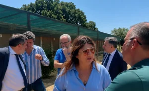 Straface avvia tour nei canili calabresi per promuovere benessere animale e combattere randagismo.