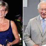Diana sfidò Carlo, raggiungendo un compromesso inaspettato per il bene di William e Harry.