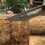 Importatori olandesi coinvolti in indagini su legno sospetto di provenienza Amazon.