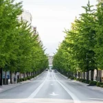 Mobilità sostenibile, la tecnologia indica i percorsi urbani più verdi