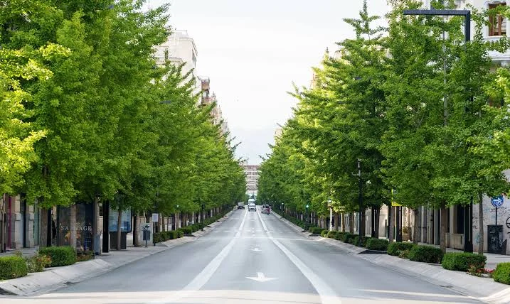 Mobilità sostenibile, la tecnologia indica i percorsi urbani più verdi
