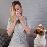 Allergie agli animali: sintomi e cure per reazioni indesiderate da pet