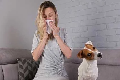 Allergie agli animali: sintomi e cure per reazioni indesiderate da pet
