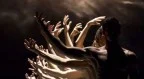 Ballet Thierrée, Shechter. Pérez, Pite su Rai 5, Stasera in TV del 25 luglio 2026