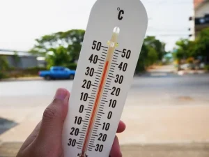 Caldo estremo, l’Italia deve cambiare passo: dieci misure per affrontare la crisi climatica