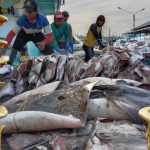Nuovo trattato garantisce condizioni di sicurezza per i pescatori indonesiani.