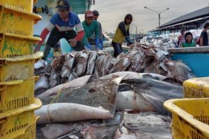Nuovo trattato garantisce condizioni di sicurezza per i pescatori indonesiani.