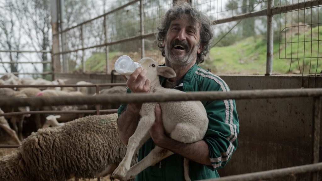 “Animal”: una commedia esilarante da non perdere su Netflix! Ridi di gusto!