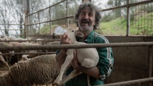 “Animal”: una commedia esilarante da non perdere su Netflix! Ridi di gusto!
