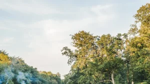 Scopri il Wilderness Festival: eleganza, champagne, chef celebri e tende di lusso nel Regno Unito.