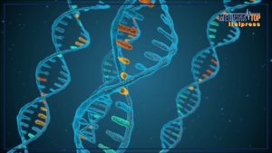 Test genetici: chiave per la lotta alle malattie rare e per la salute e prevenzione
