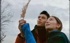 Memories su Canale 5, Stasera in TV del 7 luglio 2026