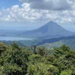 La fauna montana tropicale è gravemente minacciata dai cambiamenti climatici, rivela uno studio.