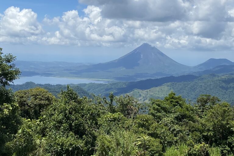 La fauna montana tropicale è gravemente minacciata dai cambiamenti climatici, rivela uno studio.