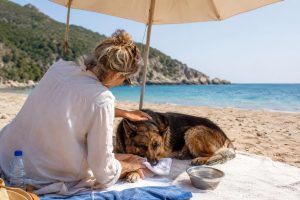 Coppia abbandona pastore tedesco in spiaggia fingendo di cercare aiuto: shock a Grosseto.