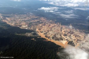 L’avidità per l’oro devasta l’Amazzonia: una minaccia per l’ecosistema e le comunità locali.