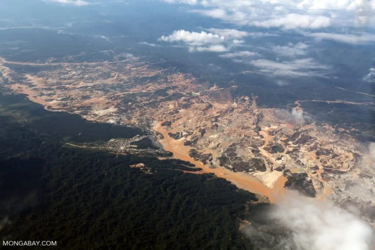 L’avidità per l’oro devasta l’Amazzonia: una minaccia per l’ecosistema e le comunità locali.