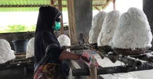 Sale marino di Lombok, Indonesia, contaminato da microplastiche: uno studio rivela la preoccupante situazione.