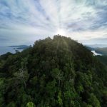 Costruire un mondo giusto e sostenibile: il nostro futuro nel rispetto del pianeta.