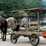 I documenti terreni rivelano il nuovo impatto dei Mennoniti sulle foreste del Belize.