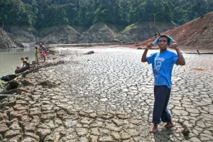 Il mondo deve guardare al passato per prepararsi all’El Niño senza precedenti. 
Titolo: Prepararsi per l’El Niño: imparare dal passato per affrontare il futuro.