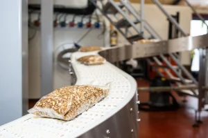 Svizzera: aggiornamento delle norme per garantire la sicurezza alimentare e la salute pubblica.