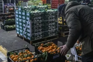 Sostegni immediati necessari per le imprese del settore ortofrutticolo in difficoltà.