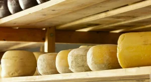 Tragica scomparsa di Mattia Maestri dopo 9 anni in coma per formaggio crudo.