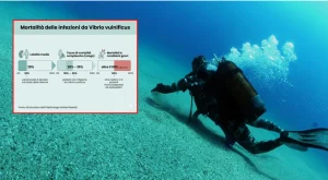 Attenzione: batterio mangiacarne nello Stretto di Messina, sintomi e rischi da conoscere.