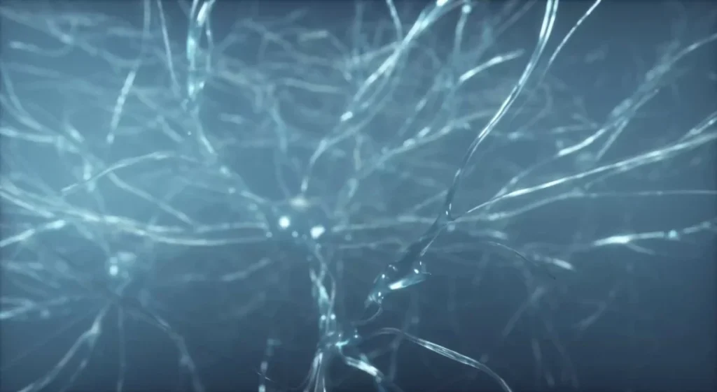 Scoperto “freno” naturale contro dolore neuropatico: il cervello potrebbe aiutare nel trattamento del dolore cronico.