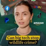 Big tech vuole fermare il crimine selvaggio: è possibile? Titolo: “Il ruolo della tecnologia nel contrastare il crimine contro la fauna selvatica”