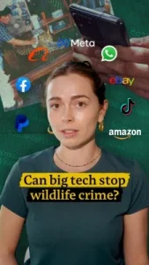 Big tech vuole fermare il crimine selvaggio: è possibile? Titolo: “Il ruolo della tecnologia nel contrastare il crimine contro la fauna selvatica”