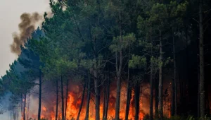 Incendi in Italia: nel 2026 previsto un aumento del 133% degli ettari bruciati.