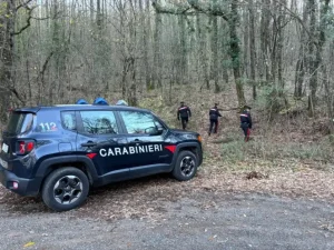 Smantellato un bivacco per lo spaccio di droga nei boschi del Senese