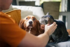 Animali domestici: una ricerca rivela il loro impatto positivo sulla salute umana.