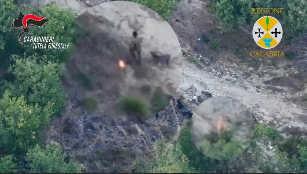 Appicca il fuoco al bosco, arrestato un allevatore incastrato dal drone / Video