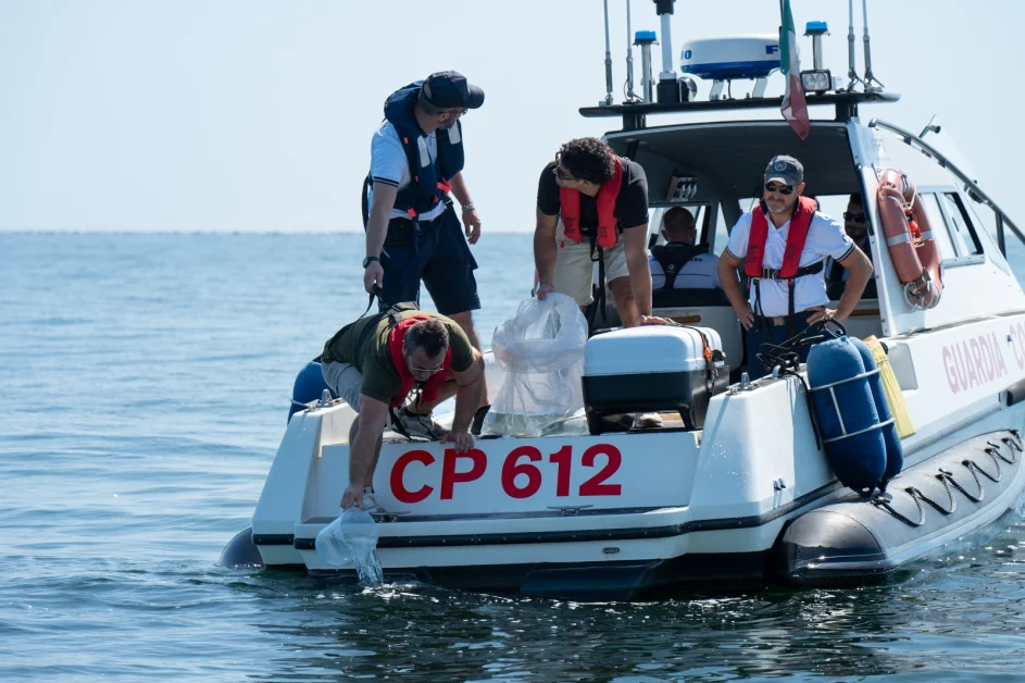 Lotta al granchio blu, al via la liberazione dei polpi al largo di Cesenatico